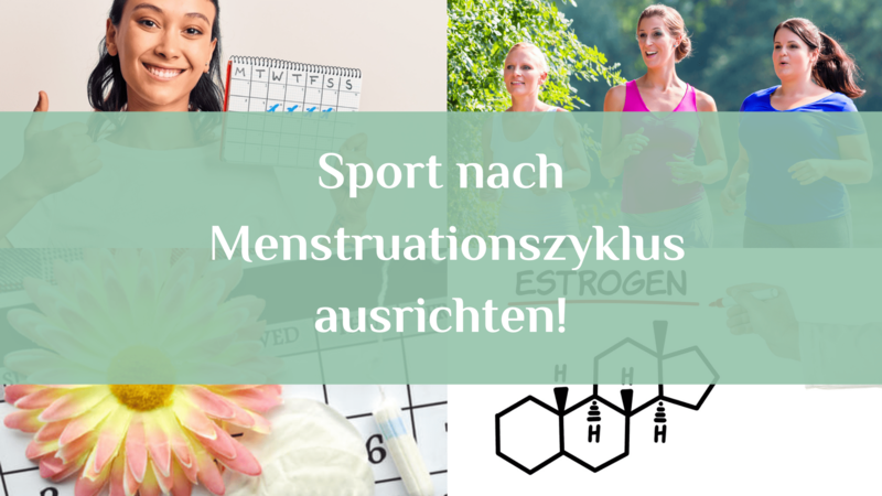 zyklusbasiert-trainieren