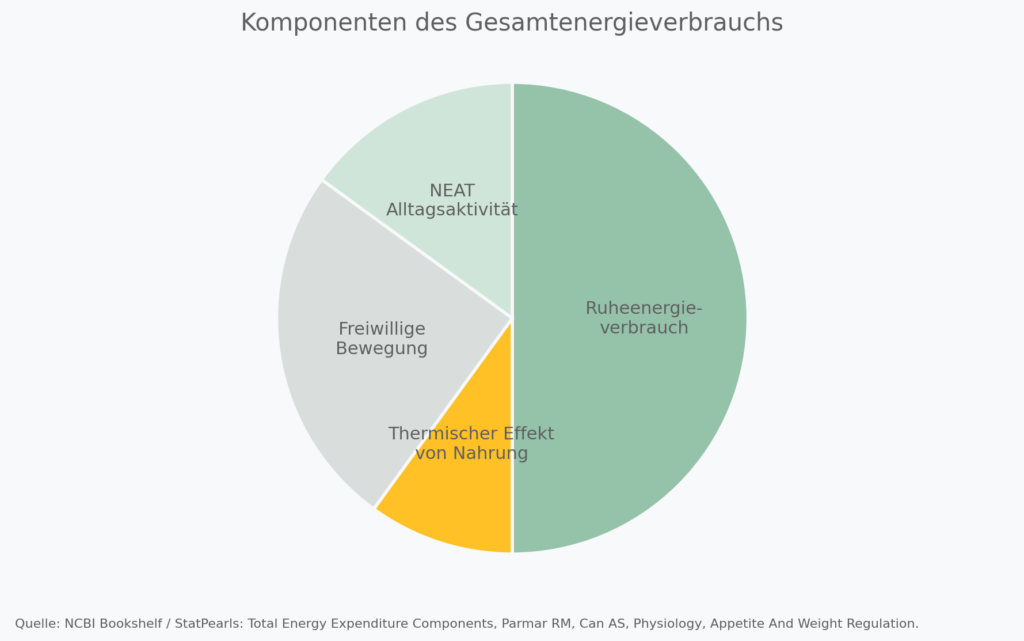 Grafik Komponenten des Gesamtenergieverbrauches